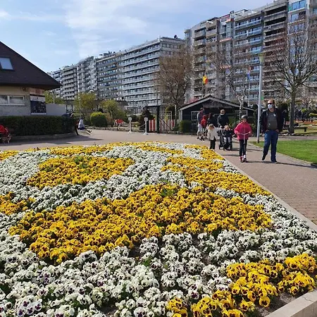 Διαμέρισμα Sweet