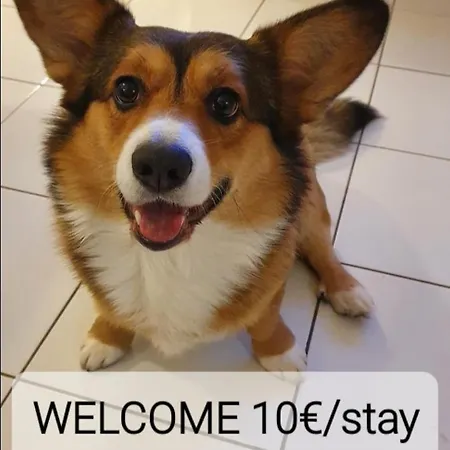 Διαμέρισμα Sweet